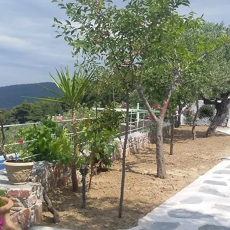 度假居 Liogerma *